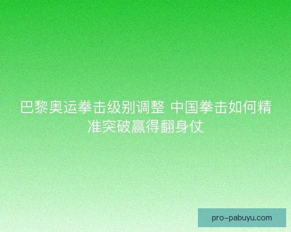 巴黎奥运拳击级别调整 中国拳击如何精准突破赢得翻身仗
